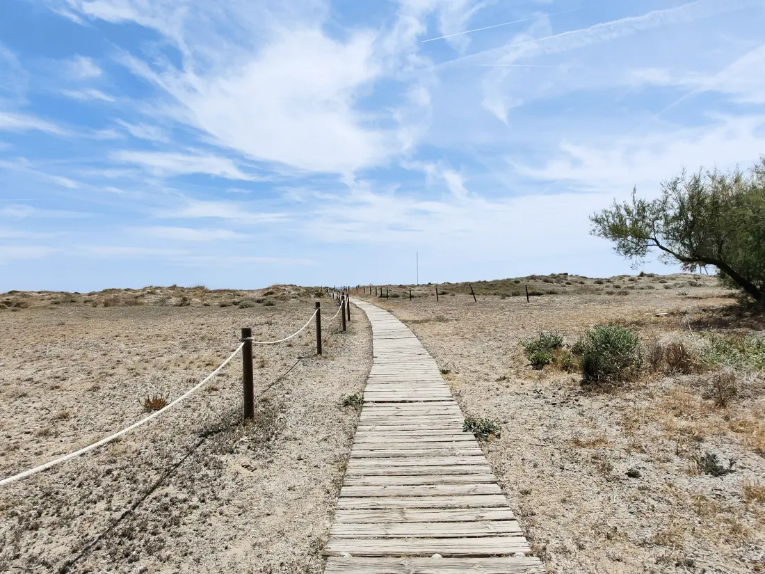 Appartements à Canet d'En Berenguer
