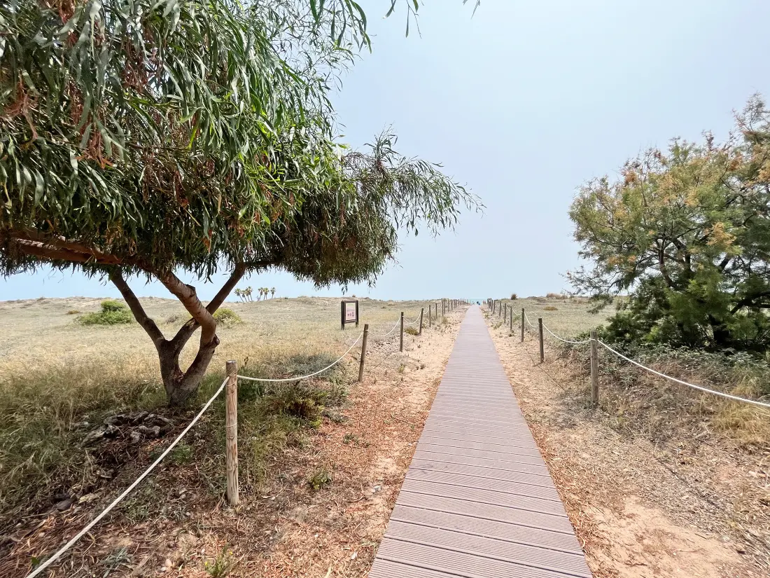 Appartements à Canet d'En Berenguer