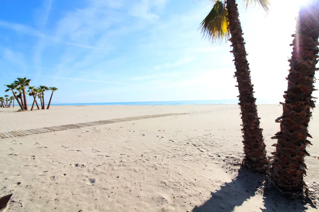 Appartements à Canet d'En Berenguer