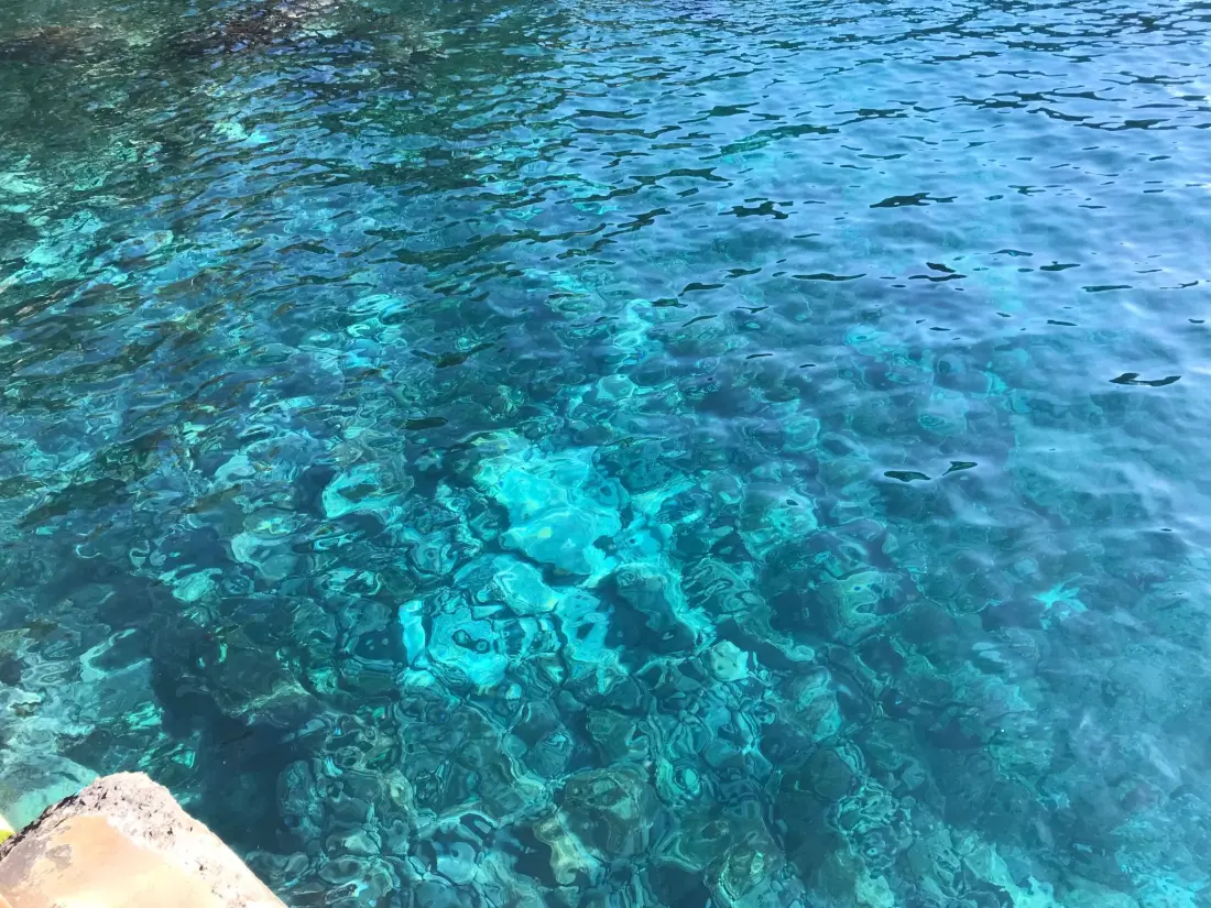 Résidence mit Blick auf das Wasser