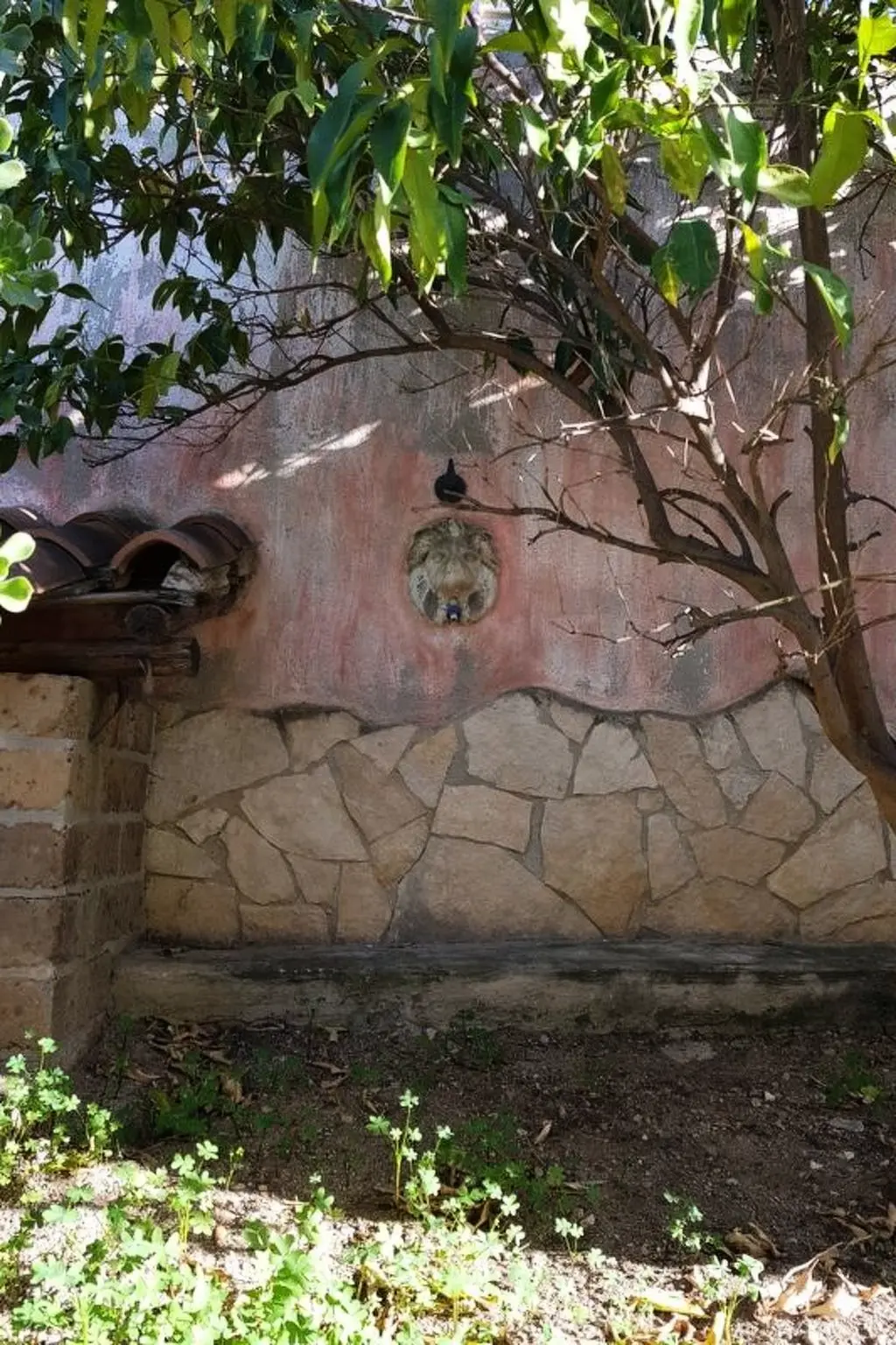 Maison de Vacances Capitana