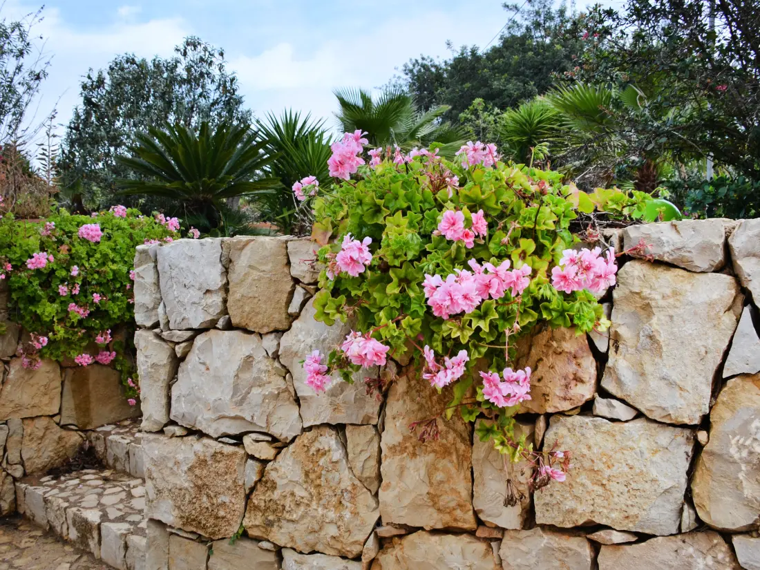 Maison de Vacances Carvoeiro