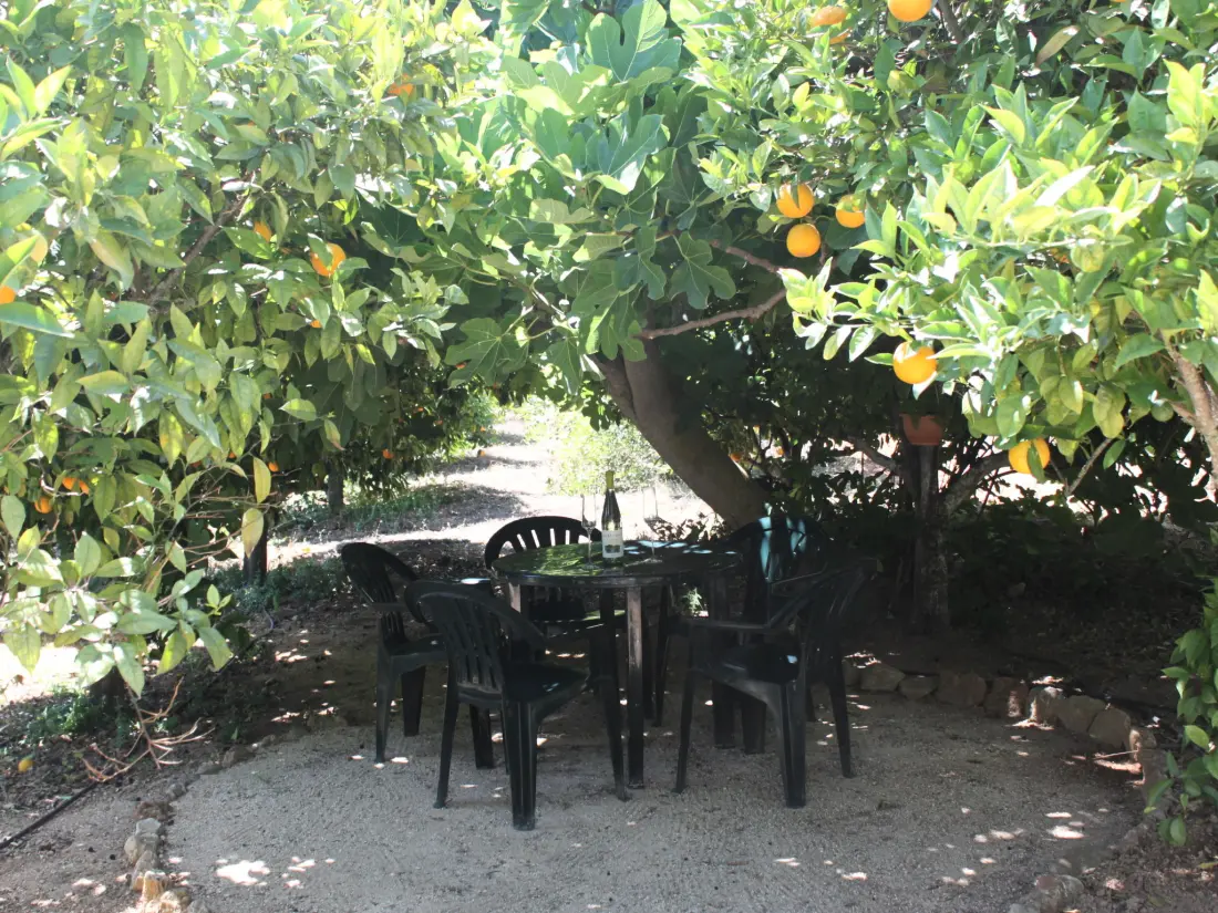 Maison de Vacances Carvoeiro