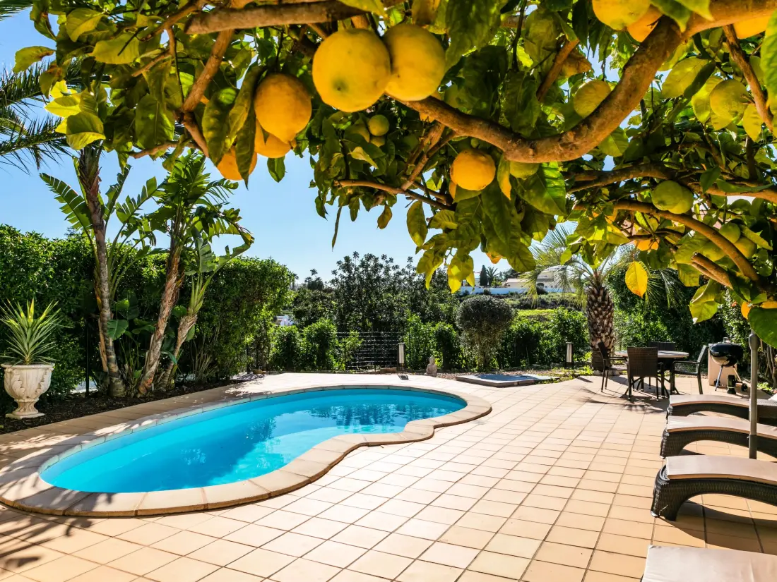 Maison de Vacances Carvoeiro