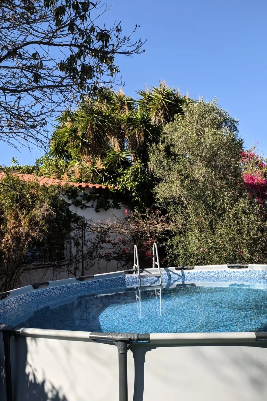 Maison de Vacances Carvoeiro