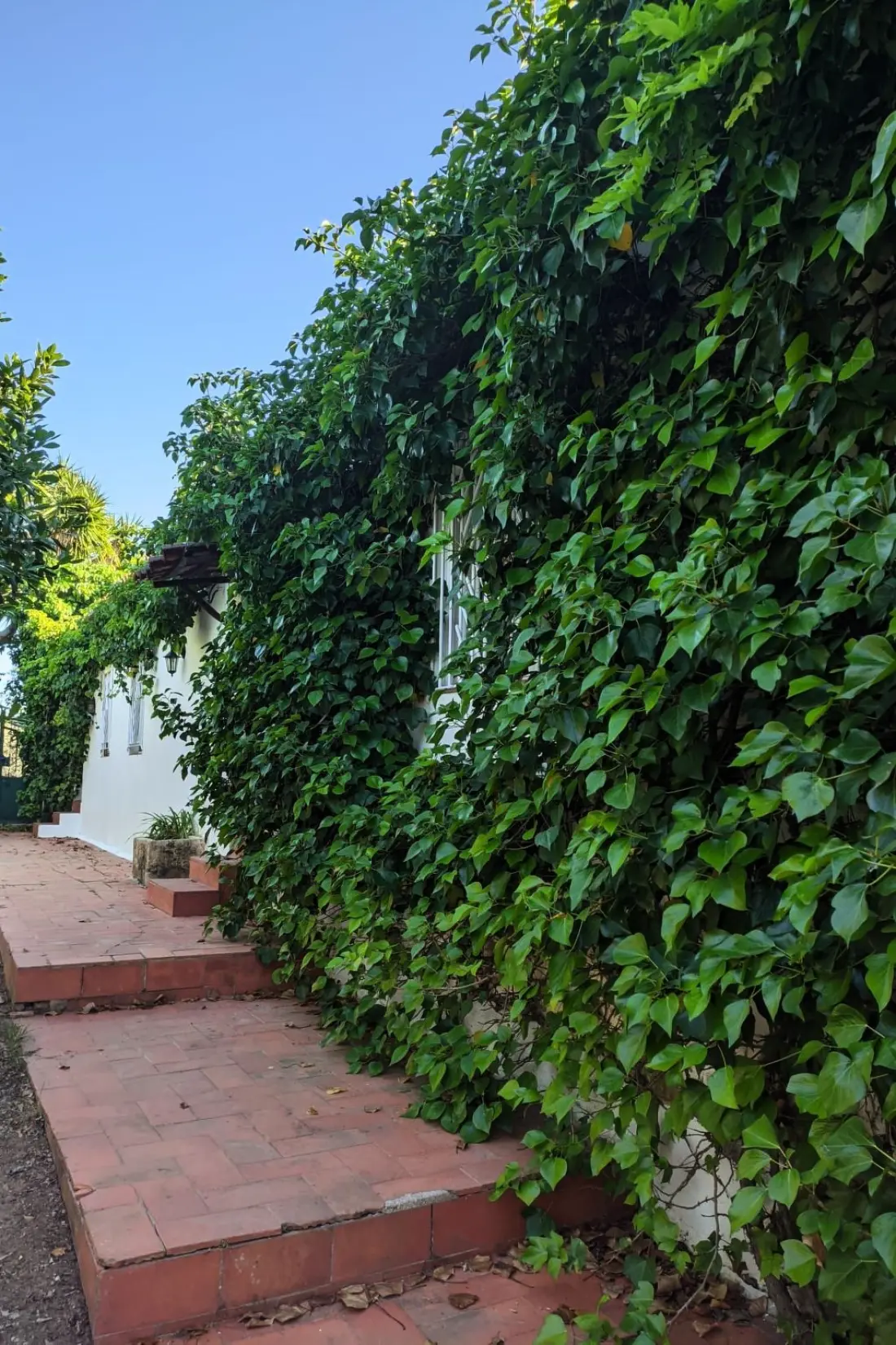 Maison de Vacances Carvoeiro