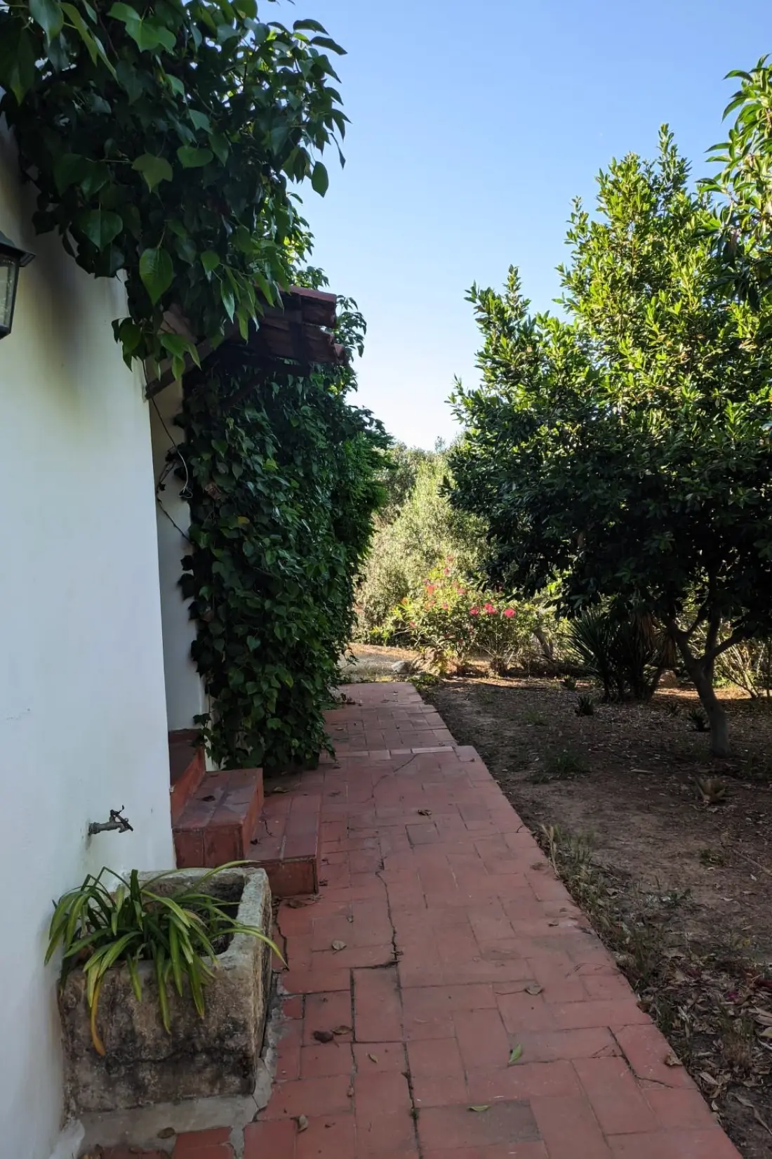 Maison de Vacances Carvoeiro