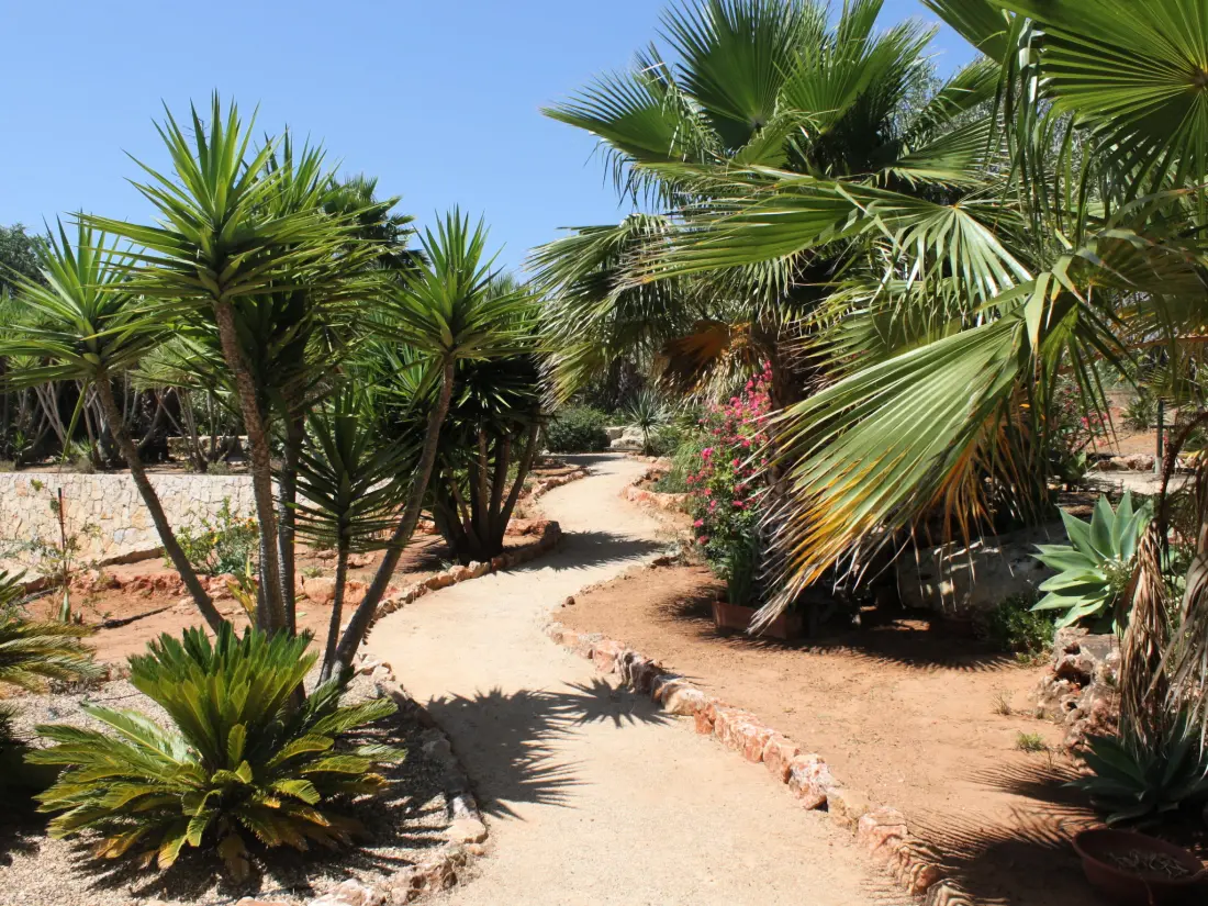 Maison de Vacances Carvoeiro