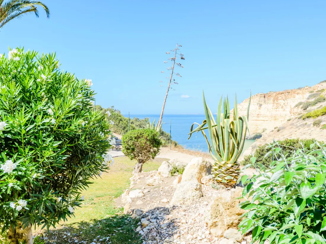 Location de Vacances Carvoeiro