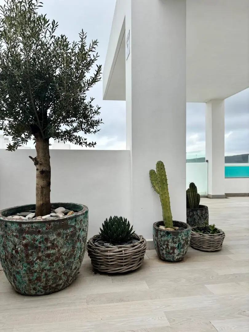 Appartements à Casares