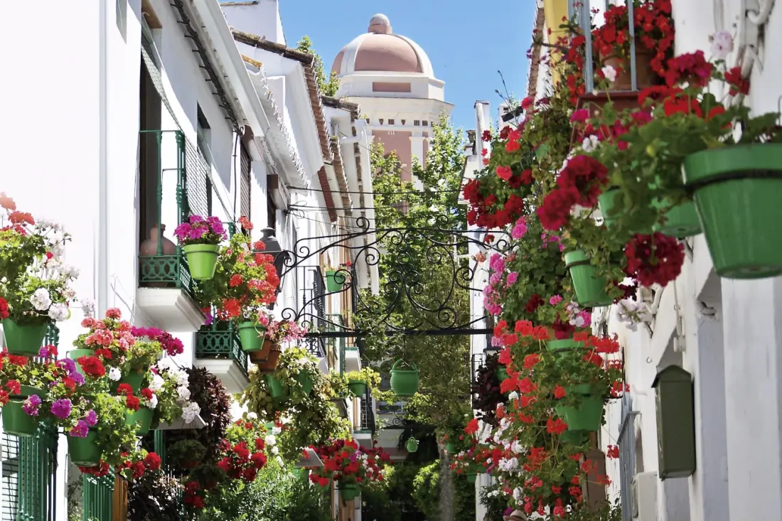 Appartements à Casares