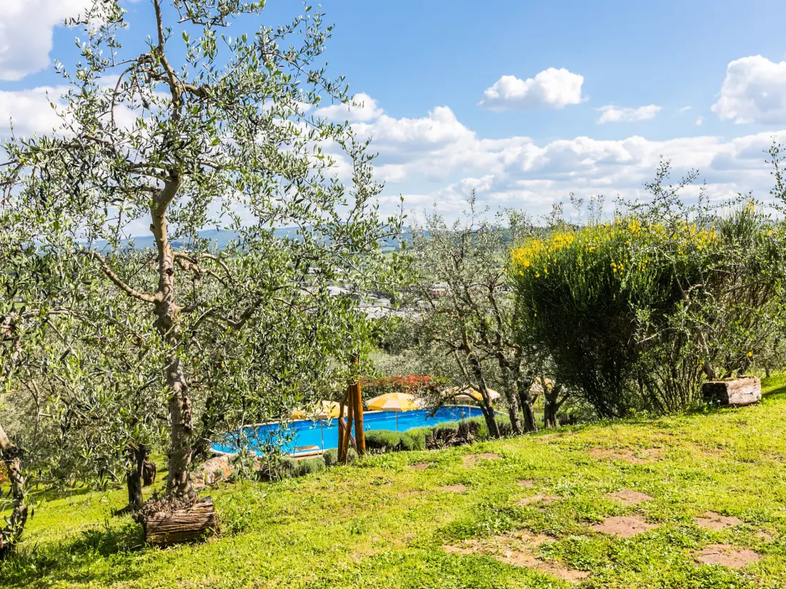 Maison de Vacances Casole d'Elsa