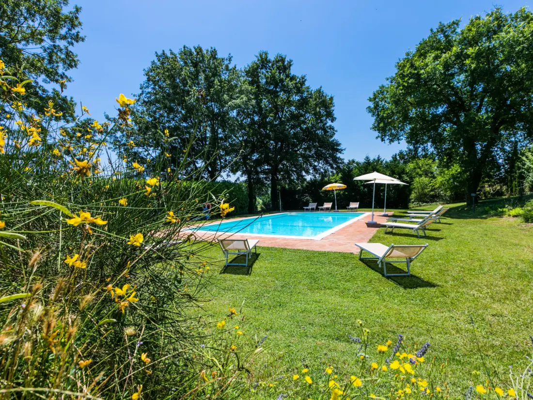 Maison de Vacances Casole d'Elsa