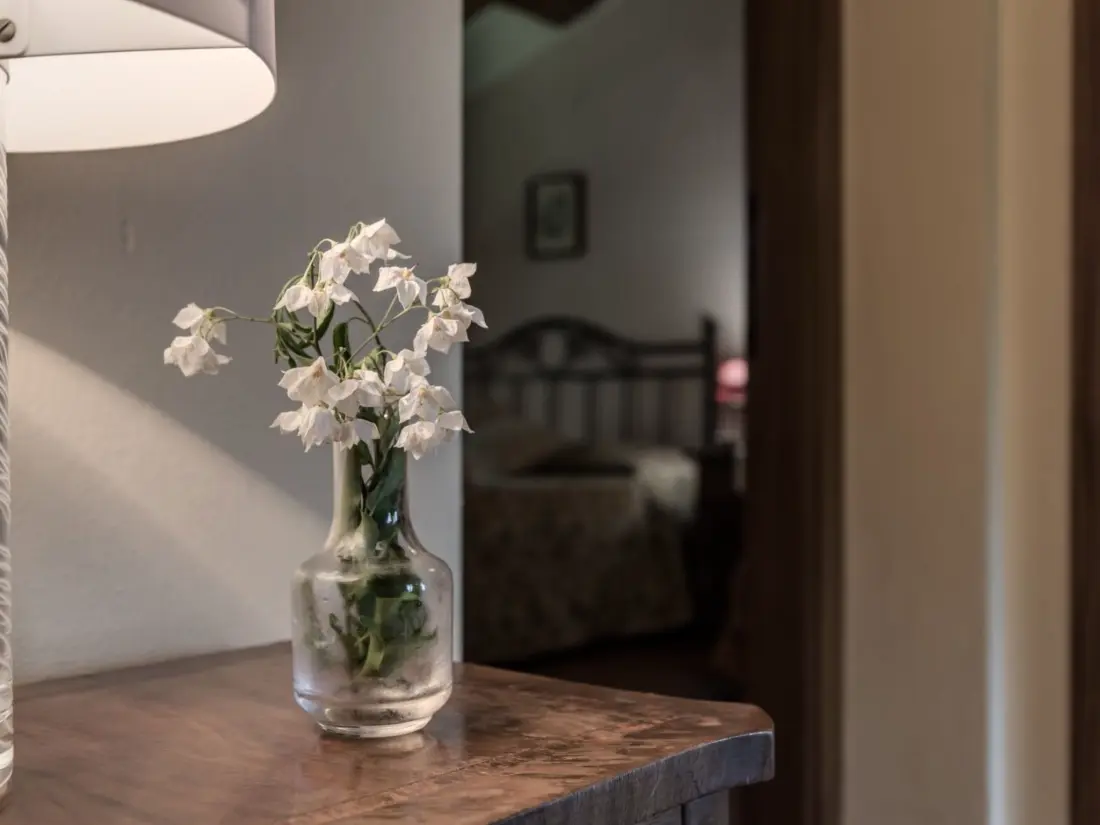 Résidence Wohnung Peinza