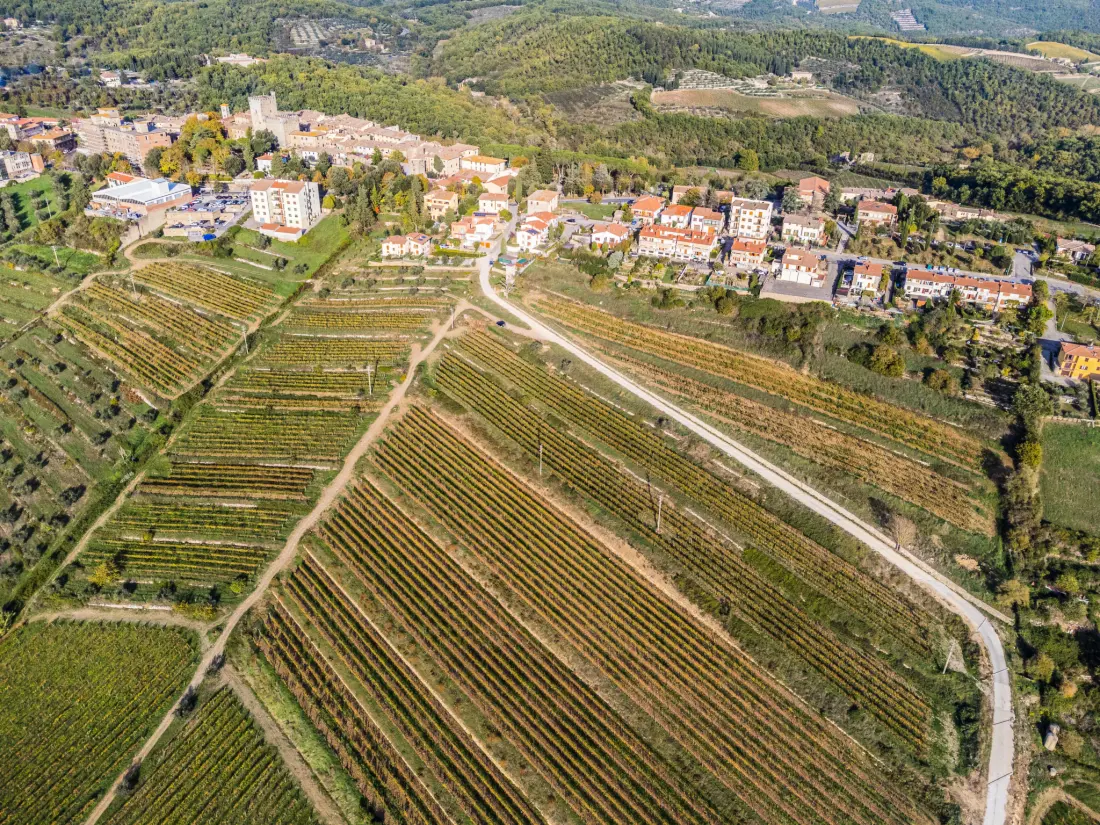 Maison de Vacances Castellina in Chianti
