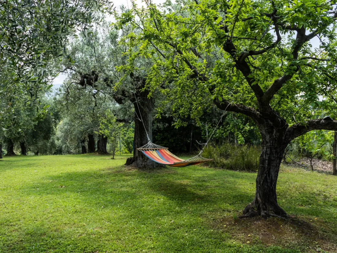 Maison de Vacances Castelnuovo di Farfa