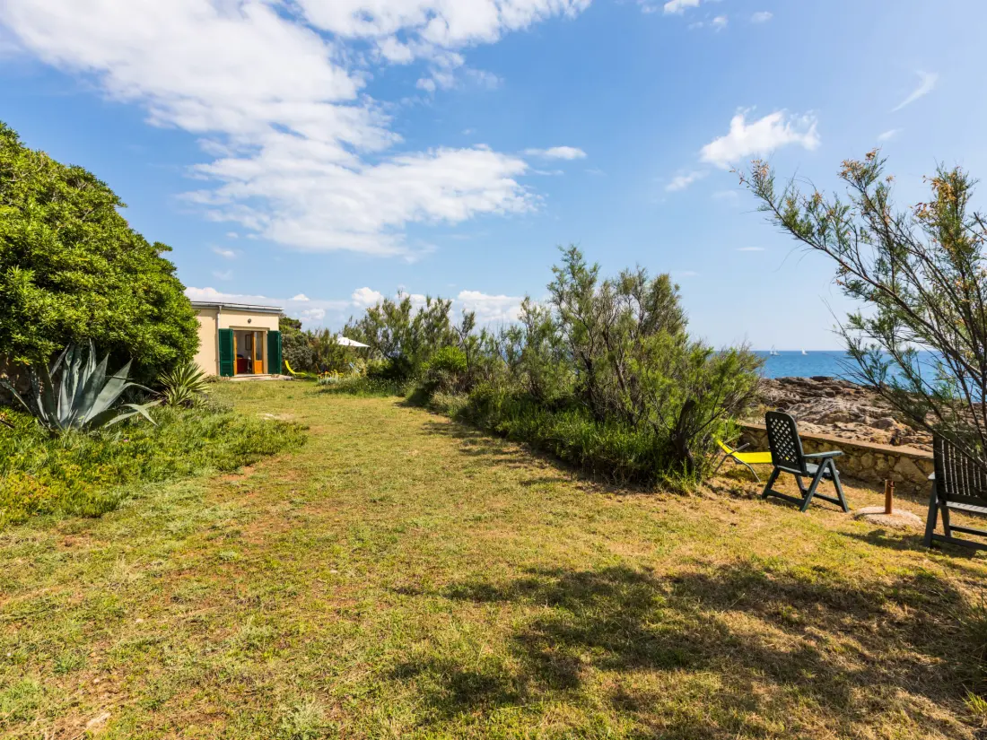 Maison de Vacances Castiglioncello