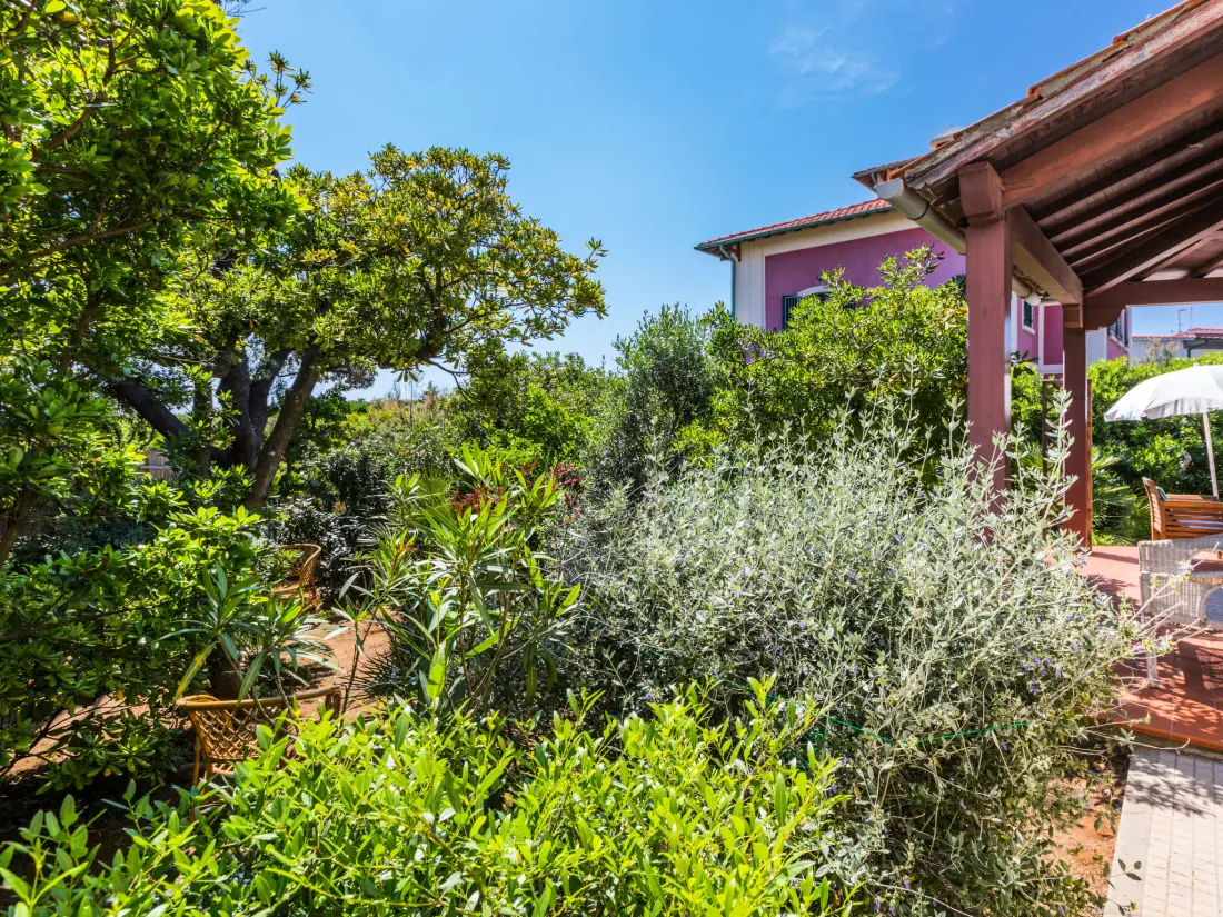 Maison de Vacances Castiglioncello