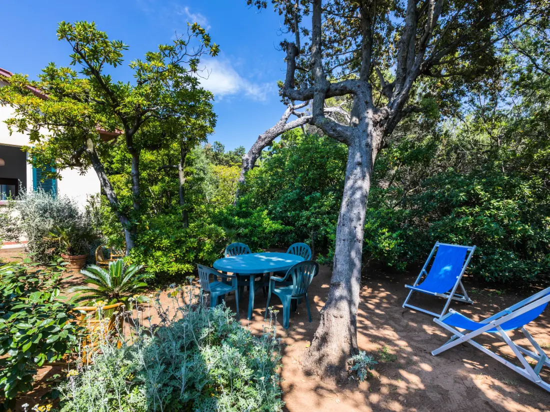 Maison de Vacances Castiglioncello