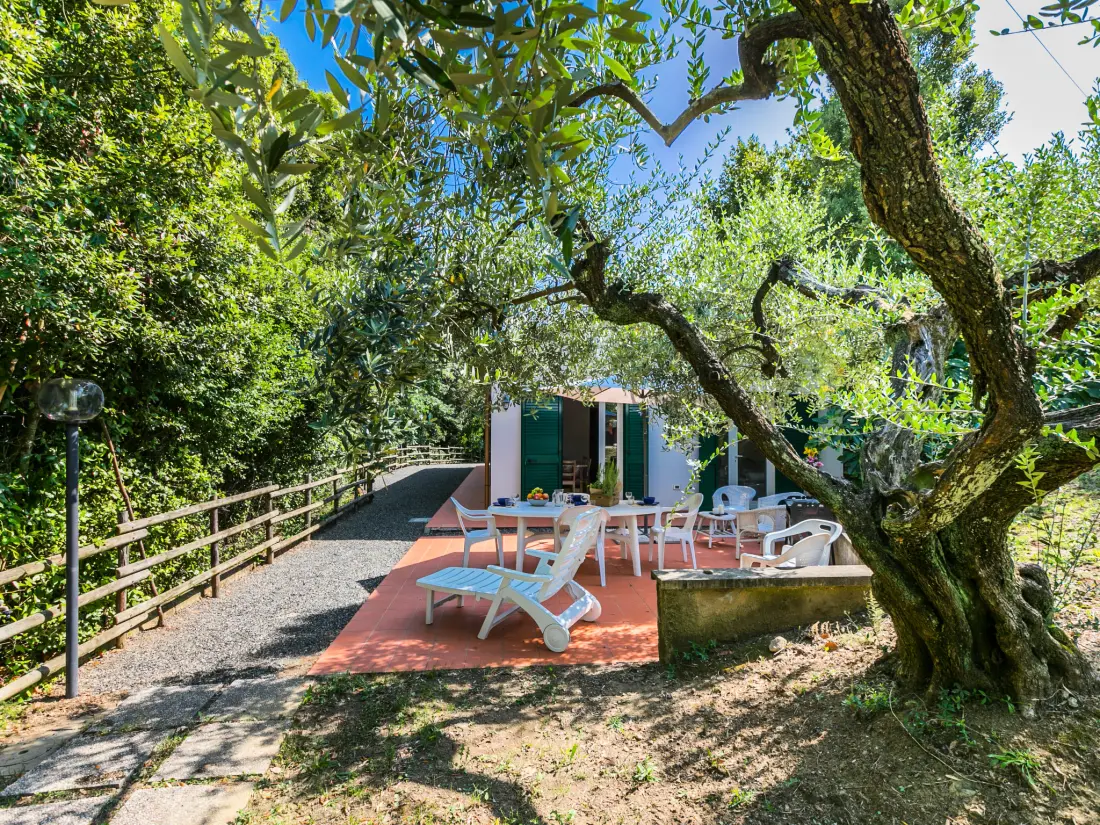 Maison de Vacances Castiglioncello