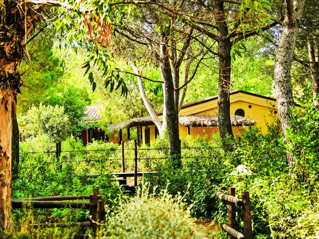 Maison de Vacances Castiglione della Pescaia
