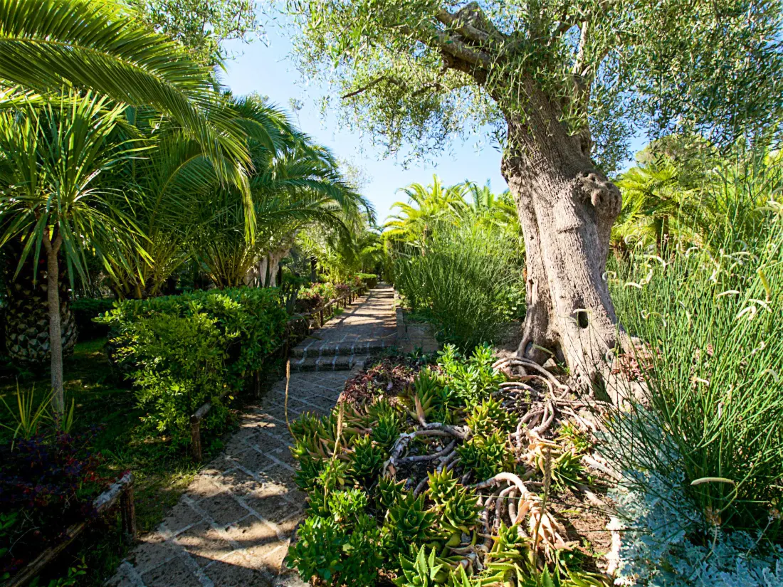 Maison de Vacances Castiglione della Pescaia
