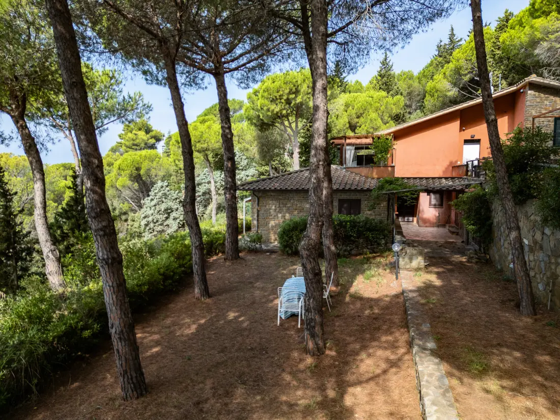 Maison de Vacances Castiglione della Pescaia