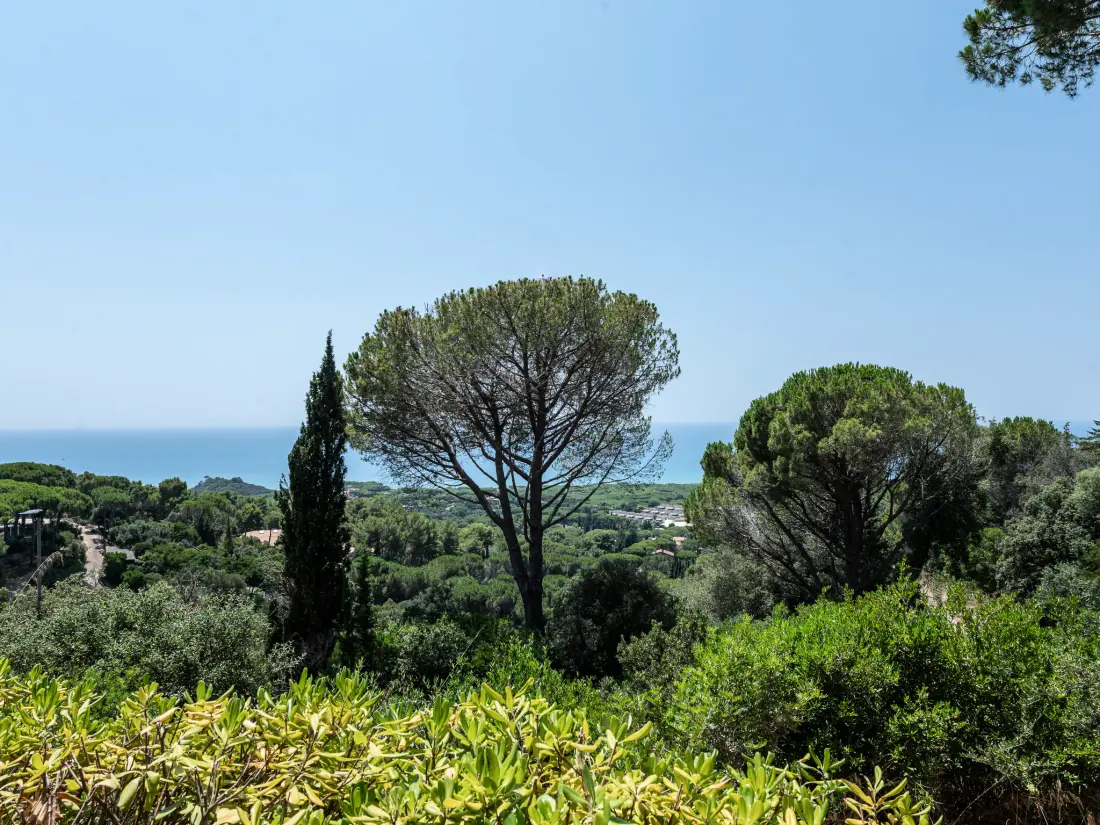 Maison de Vacances Castiglione della Pescaia