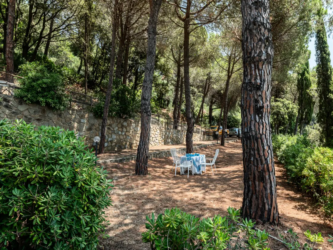 Maison de Vacances Castiglione della Pescaia