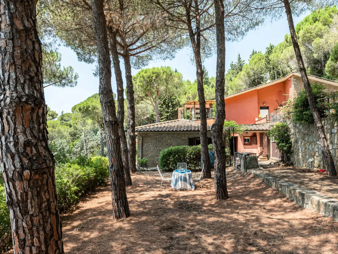 Maison de Vacances Castiglione della Pescaia