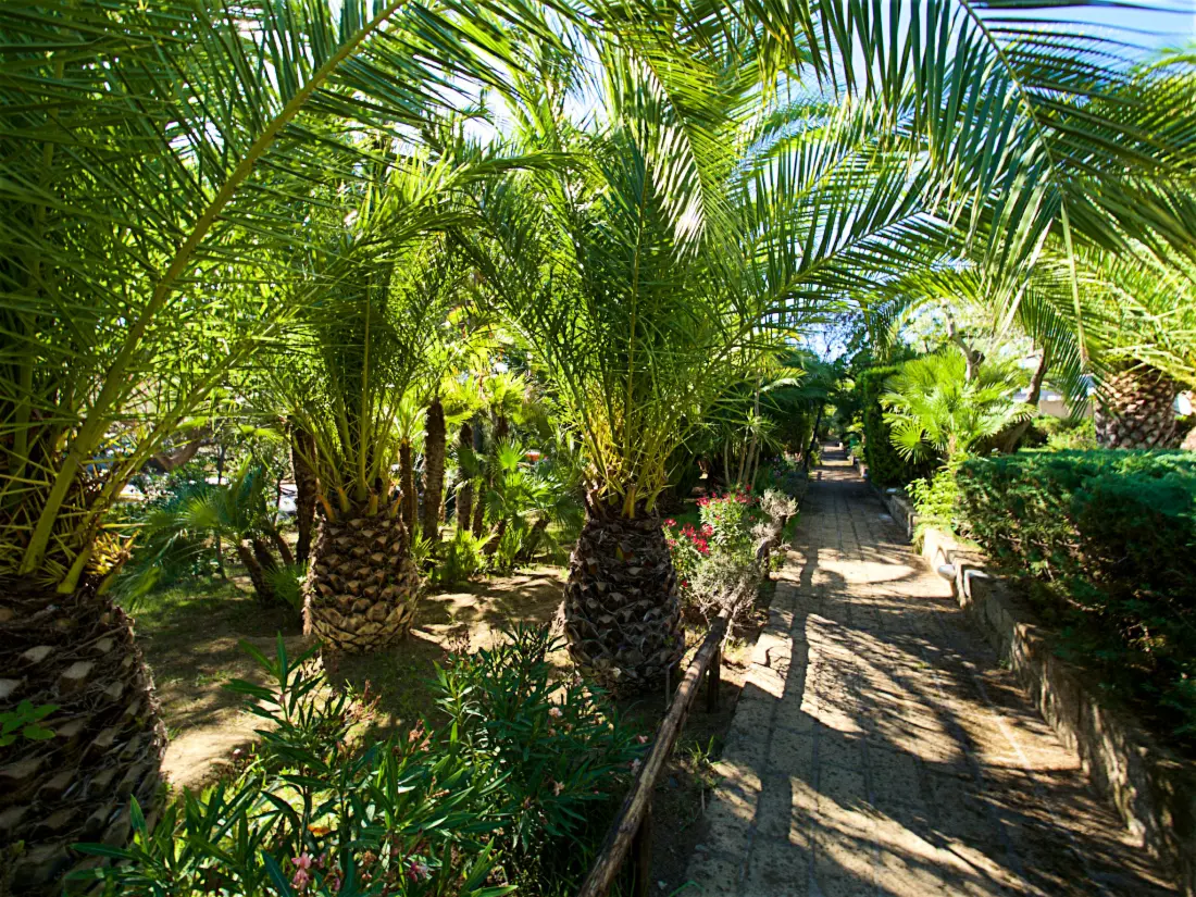 Maison de Vacances Castiglione della Pescaia