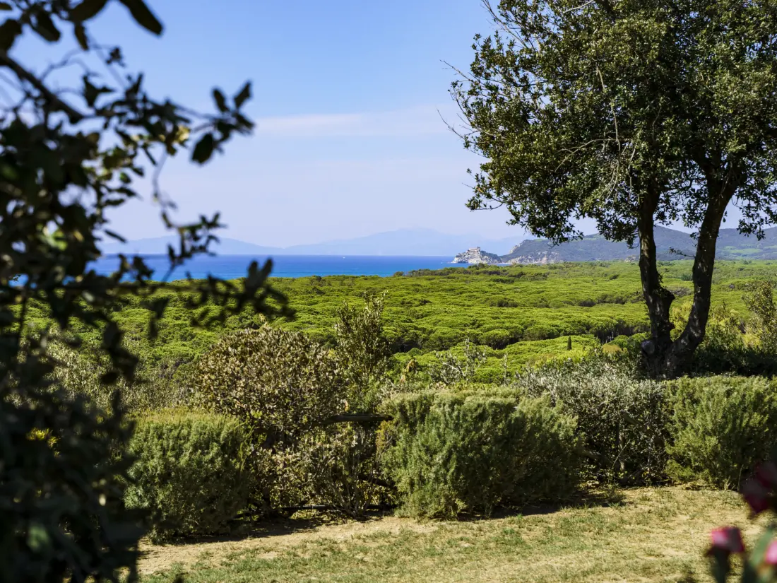 Maison de Vacances Castiglione della Pescaia