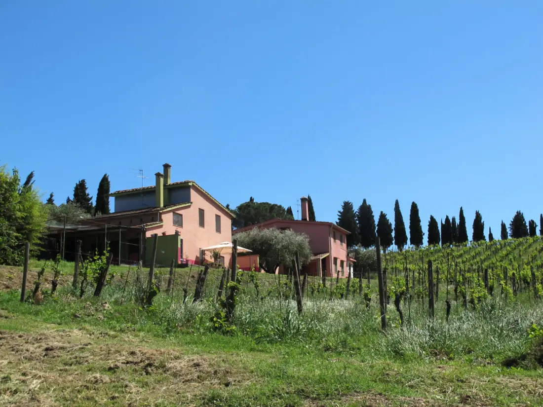 Maison de Vacances Certaldo
