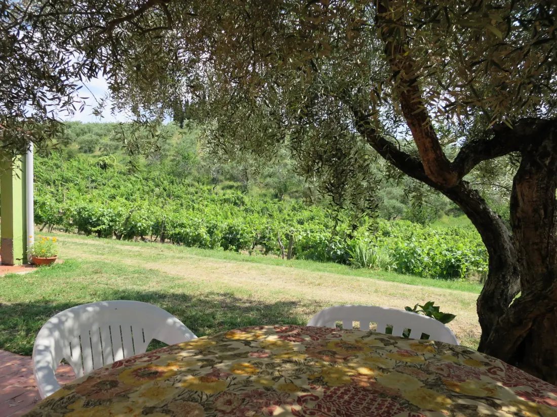 Maison de Vacances Certaldo