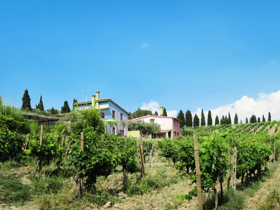 Maison de Vacances Certaldo