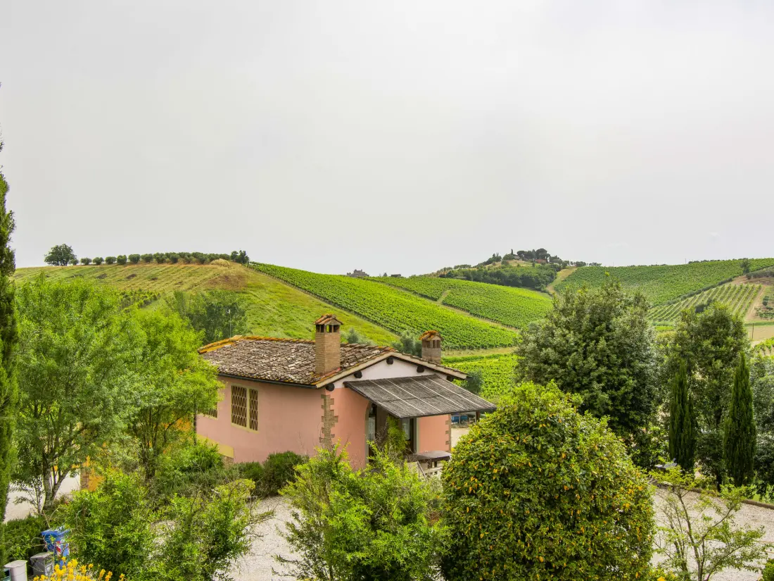 Maison de Vacances Certaldo