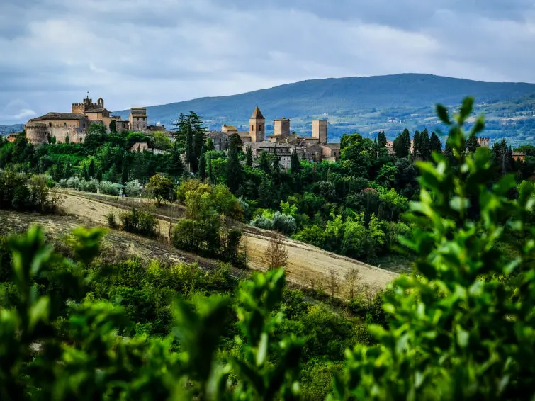 Résidence Podere La Torre