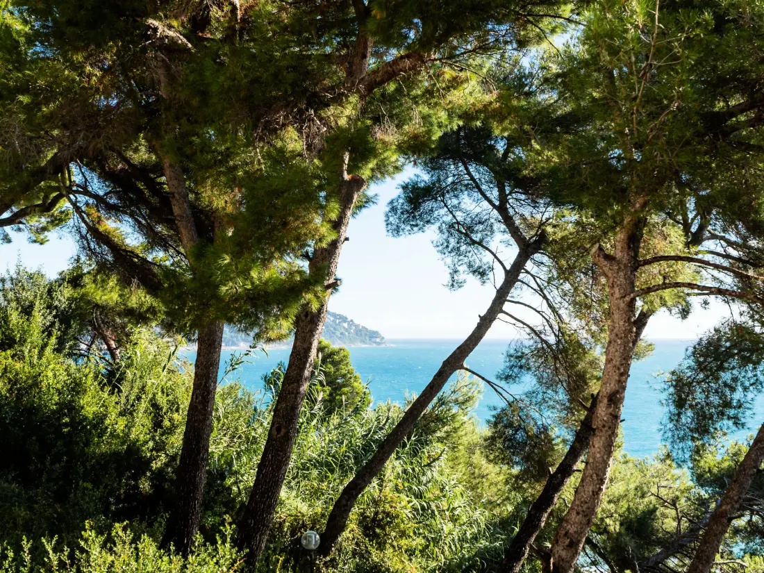 Résidence il nido sul Mare