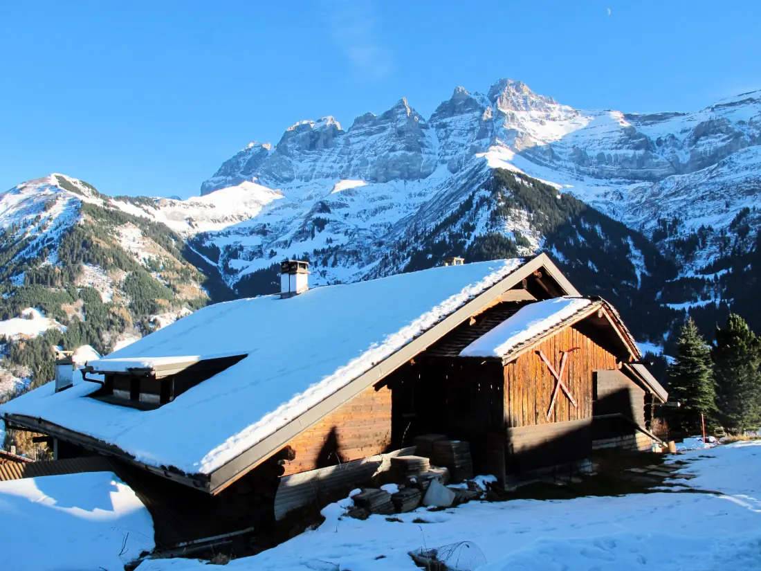 Chalet Champery