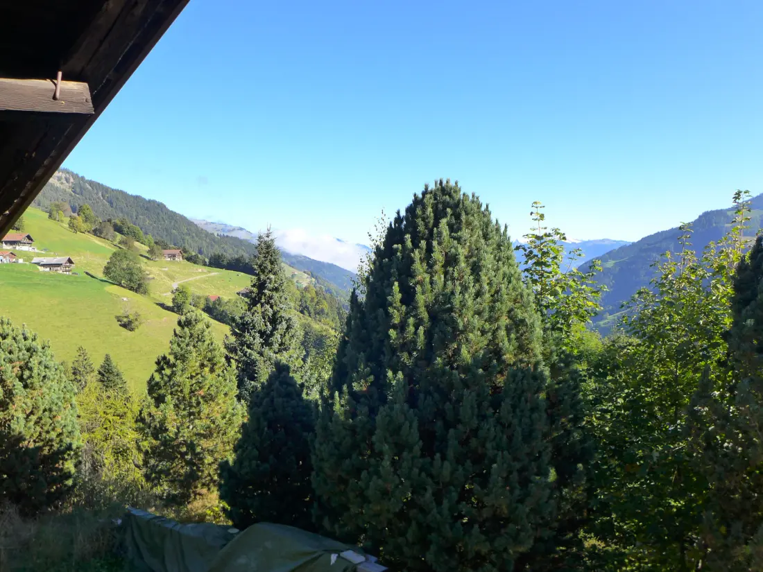 Chalet Champery