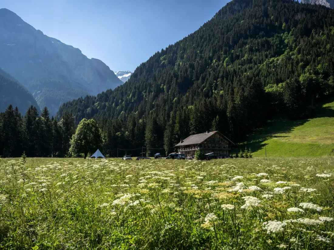 Résidence La Chotte du Musher, (Champery),