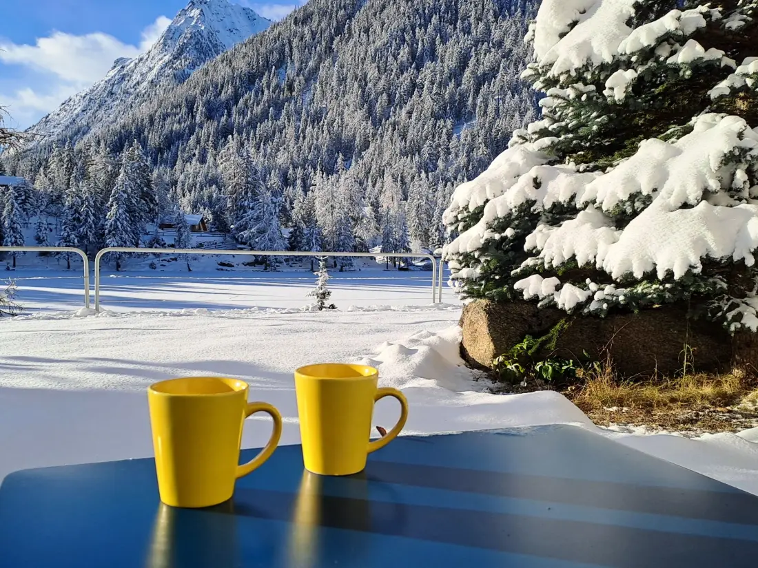 Résidence Alpes et Lac 2