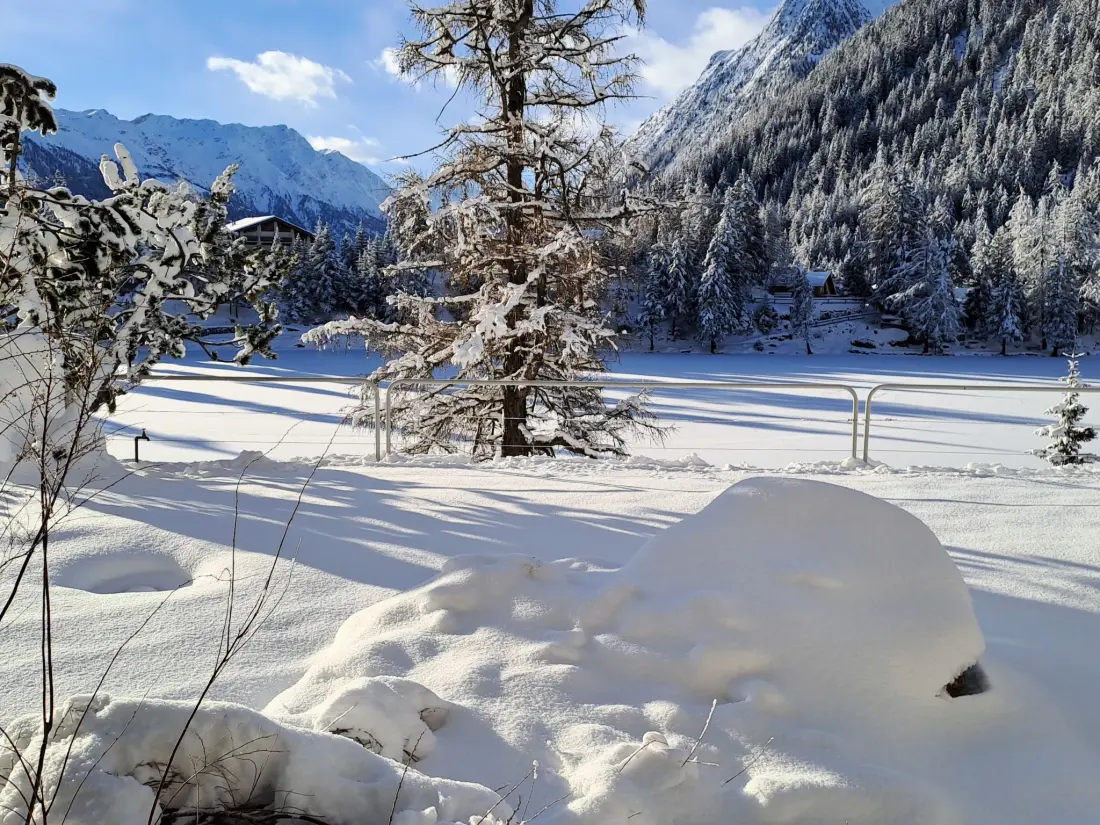 Résidence Alpes et Lac 2