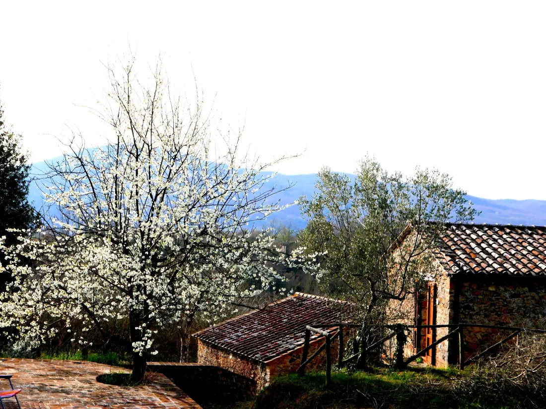 Maison de Vacances Chiusdino