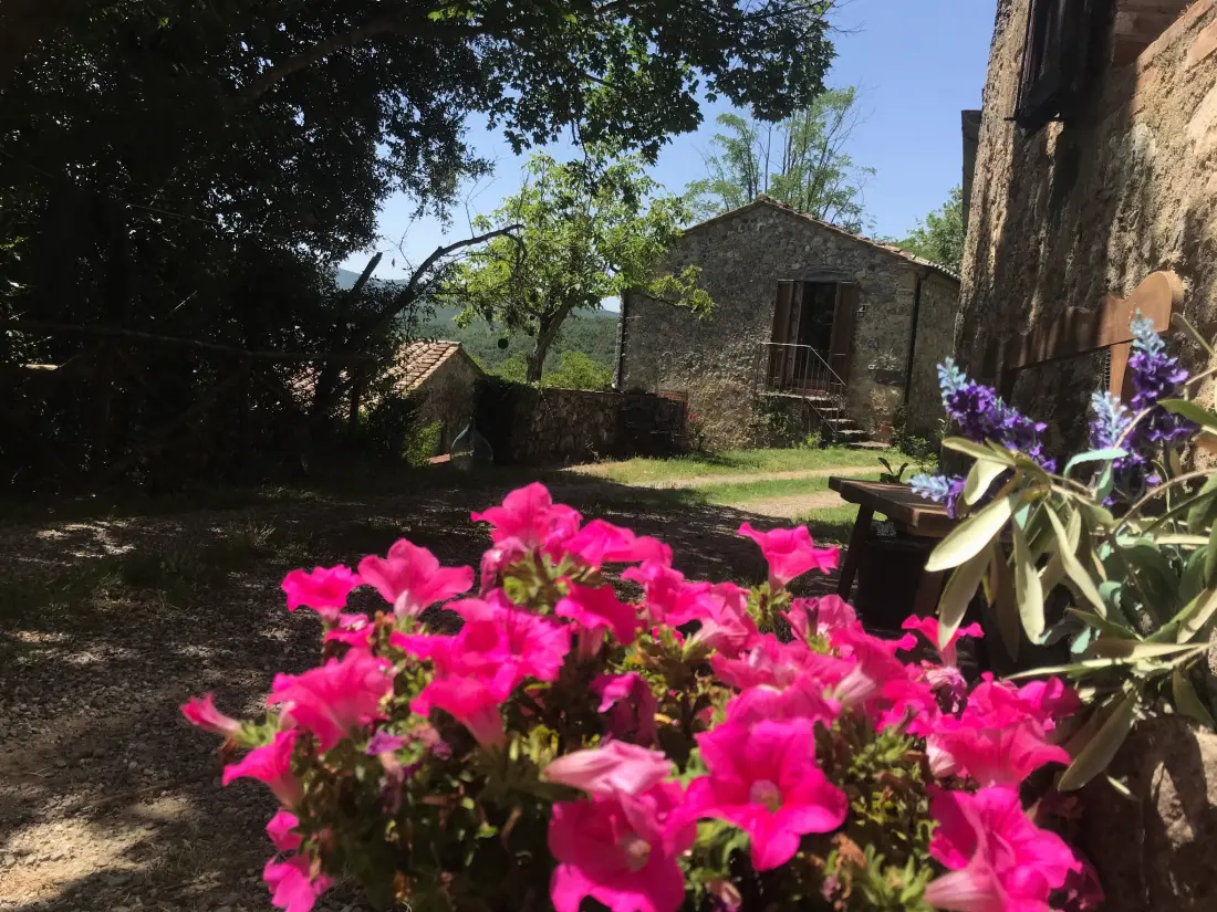 Maison de Vacances Chiusdino