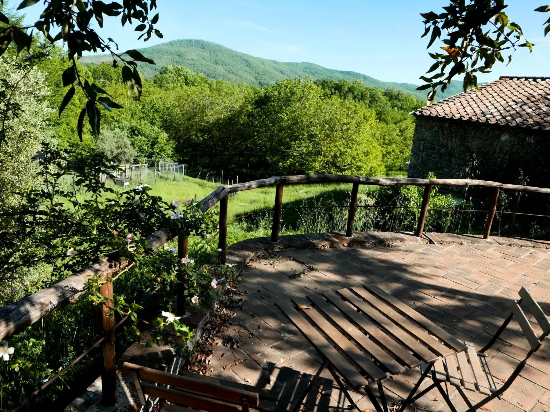 Maison de Vacances Chiusdino
