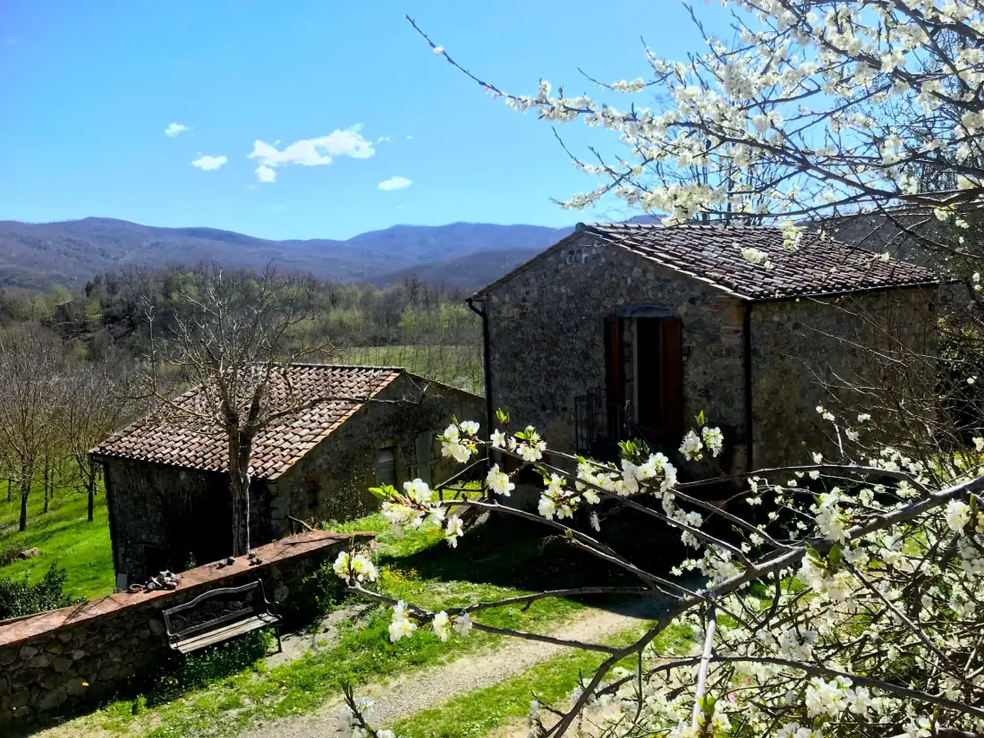 Maison de Vacances Chiusdino