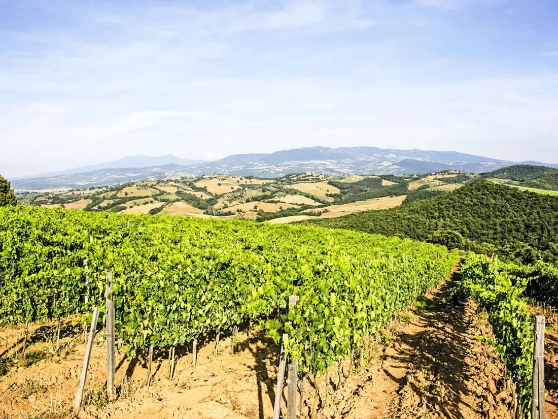 Maison de Vacances Cinigiano
