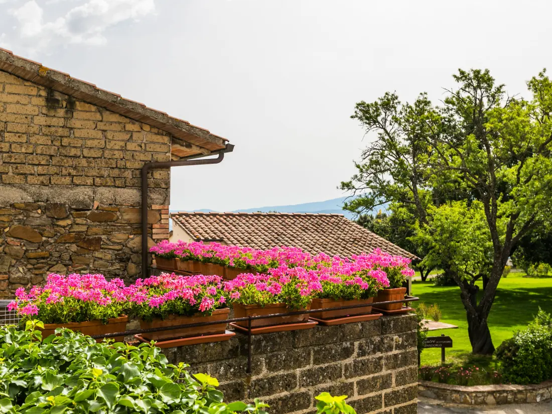 Maison de Vacances Cinigiano