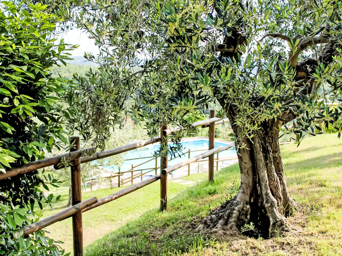 Résidence Malagronda